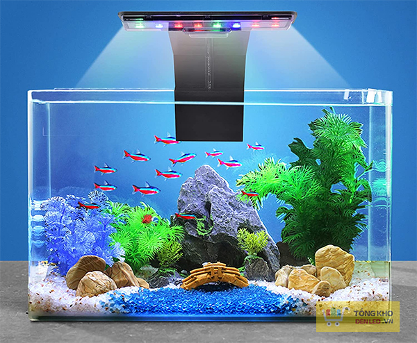 Cách lựa chọn đèn trang trí bể cá nước ngọt